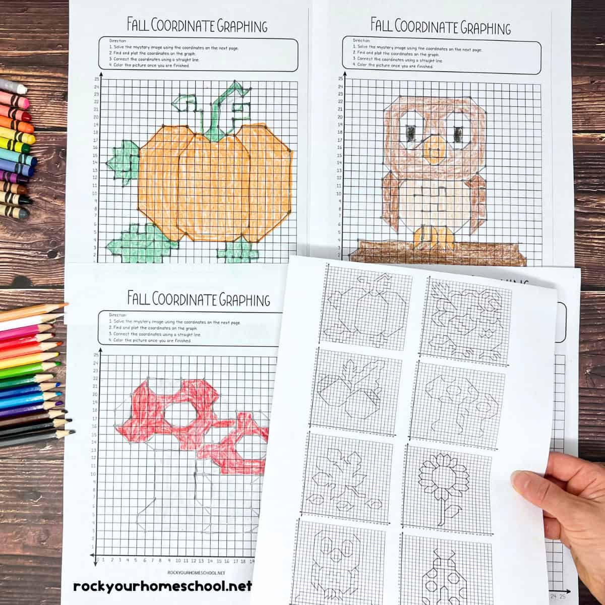 Coordinate Graphing Pictures: How To Use For Fall Fun (Free)- Rock for Coordinate Graphing Hidden Pictures