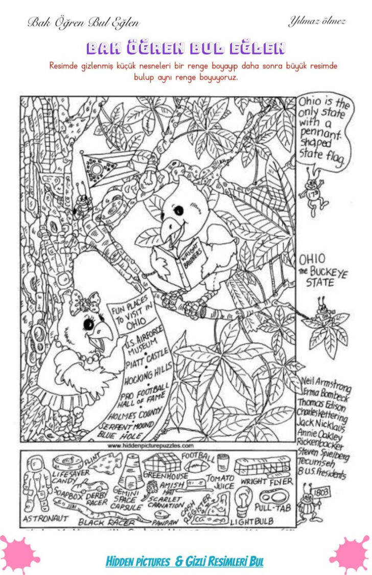 Liz Ball Hidden Pictures