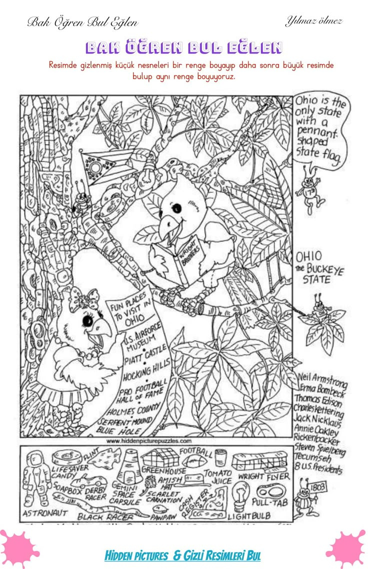 Diana Lorenzo Adlı Kullanıcının Dibujos Panosundaki Pin | Gizli pertaining to Liz Ball Hidden Pictures