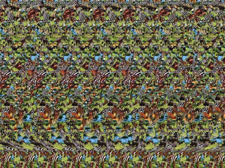 3D Optical Illusions Hidden Pictures