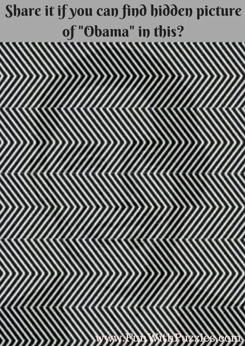 Discover Hidden Faces: Visual Puzzles With A Twist for Brain Teasers Hidden Pictures