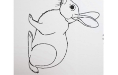 Duck Or Rabbit - Can You Spot The Hidden Animal In This Image within Hidden Pictures Puzzles Ducks &amp; Bunnies