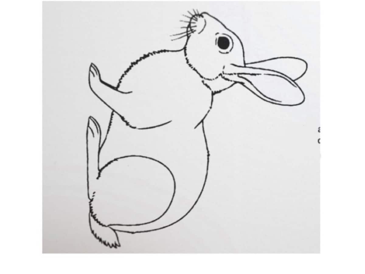 Duck Or Rabbit - Can You Spot The Hidden Animal In This Image within Hidden Pictures Puzzles Ducks &amp;amp; Bunnies