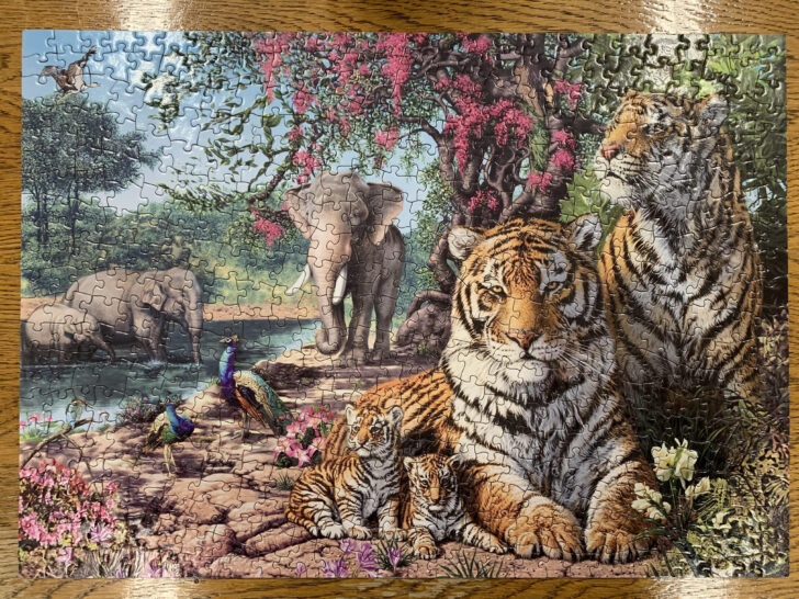 Jigsaw Puzzles Hidden Pictures