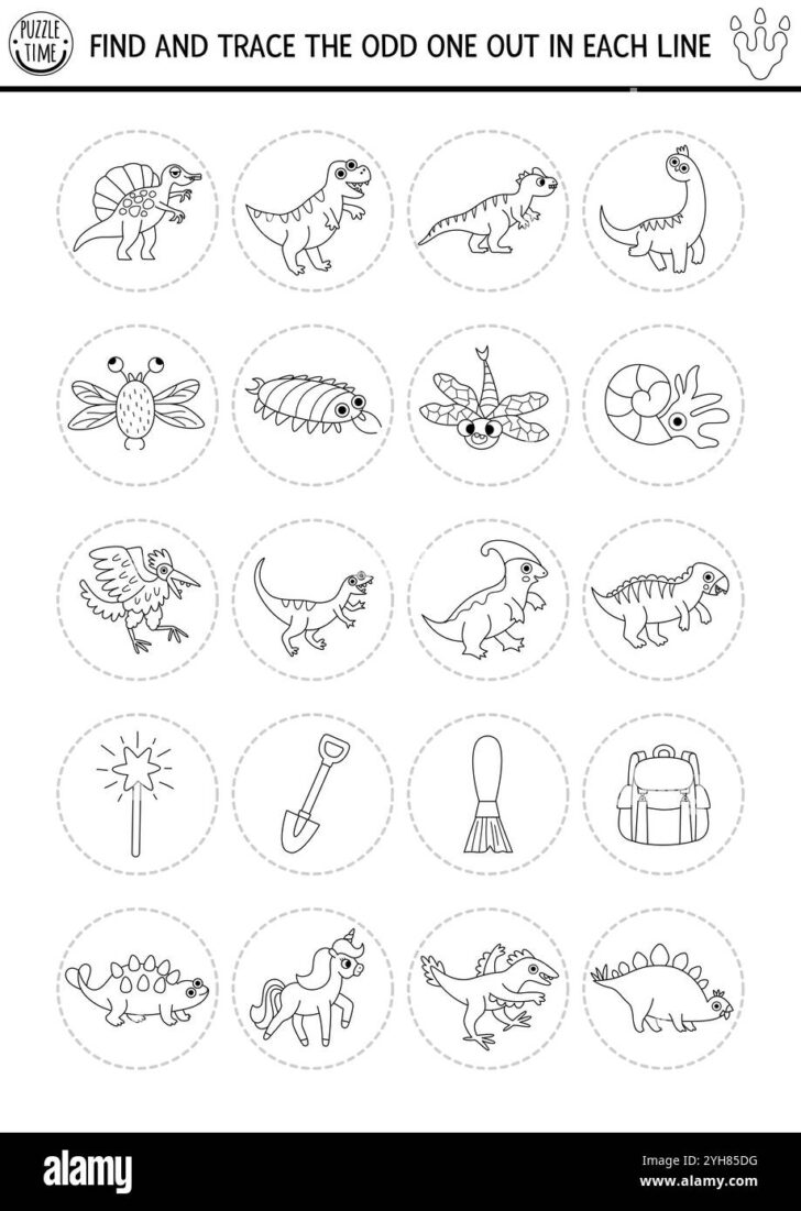 Find the Image Print Out