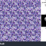 Foto  Und Bild Portfolio Von Eyetricks 3D Stereograms Intended For 3D Hidden Pictures Easy