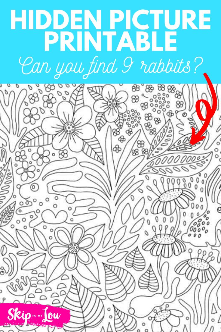 Free Hidden Picture Printables To Color | Skip To My Lou throughout Hidden Picture Booklet Free