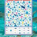 Free Printable Shark Week I Spy Activity Pertaining To I Spy Hidden Pictures