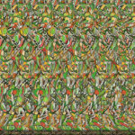 Gracious Clumsiness (Cross View Version) : R/Crossview Pertaining To Cross Eye Hidden Pictures