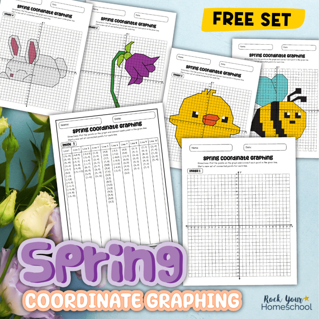 Graphing Hidden Pictures Free Printable | Carson Dellosa with Carson Dellosa Graphing Hidden Pictures