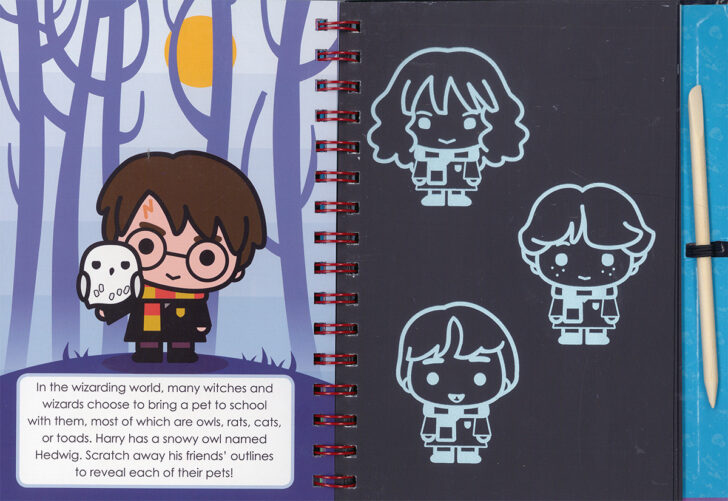 Harry Potter Hidden Pictures