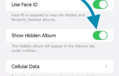 Hidden Photos Not Showing In Albums - How To Fix It? in Show Hidden Pictures Iphone