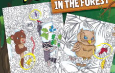 Hidden Picture Puzzles In The Forestliz Ball, Paperback for Liz Ball Hidden Pictures