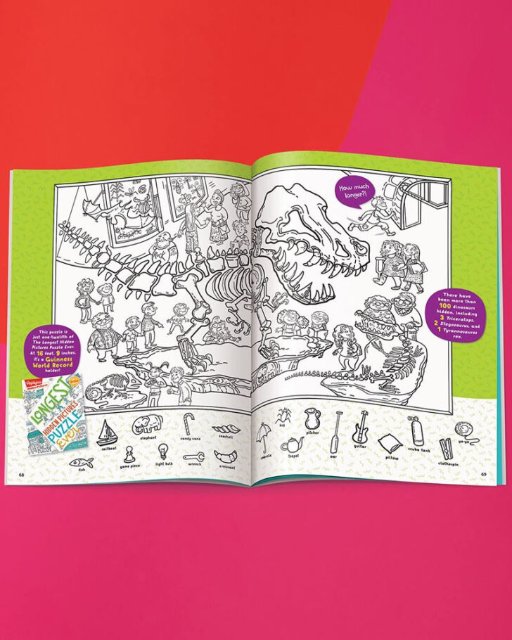 Longest Hidden Pictures Puzzle Ever Longest Hidden Pictures Puzzle Ever