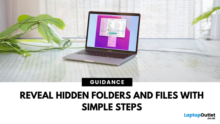 Find Hidden Pictures on Computer