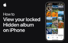 How To View Your Locked Hidden Album On Iphone | Apple Support throughout Find Hidden Pictures On Phone