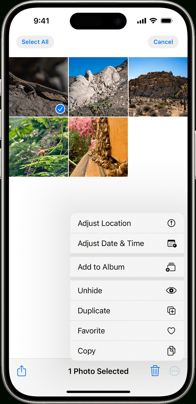 If You&amp;#039;Re Missing Photos Or Videos In The Photos App - Apple Support within View Hidden Pictures on Iphone