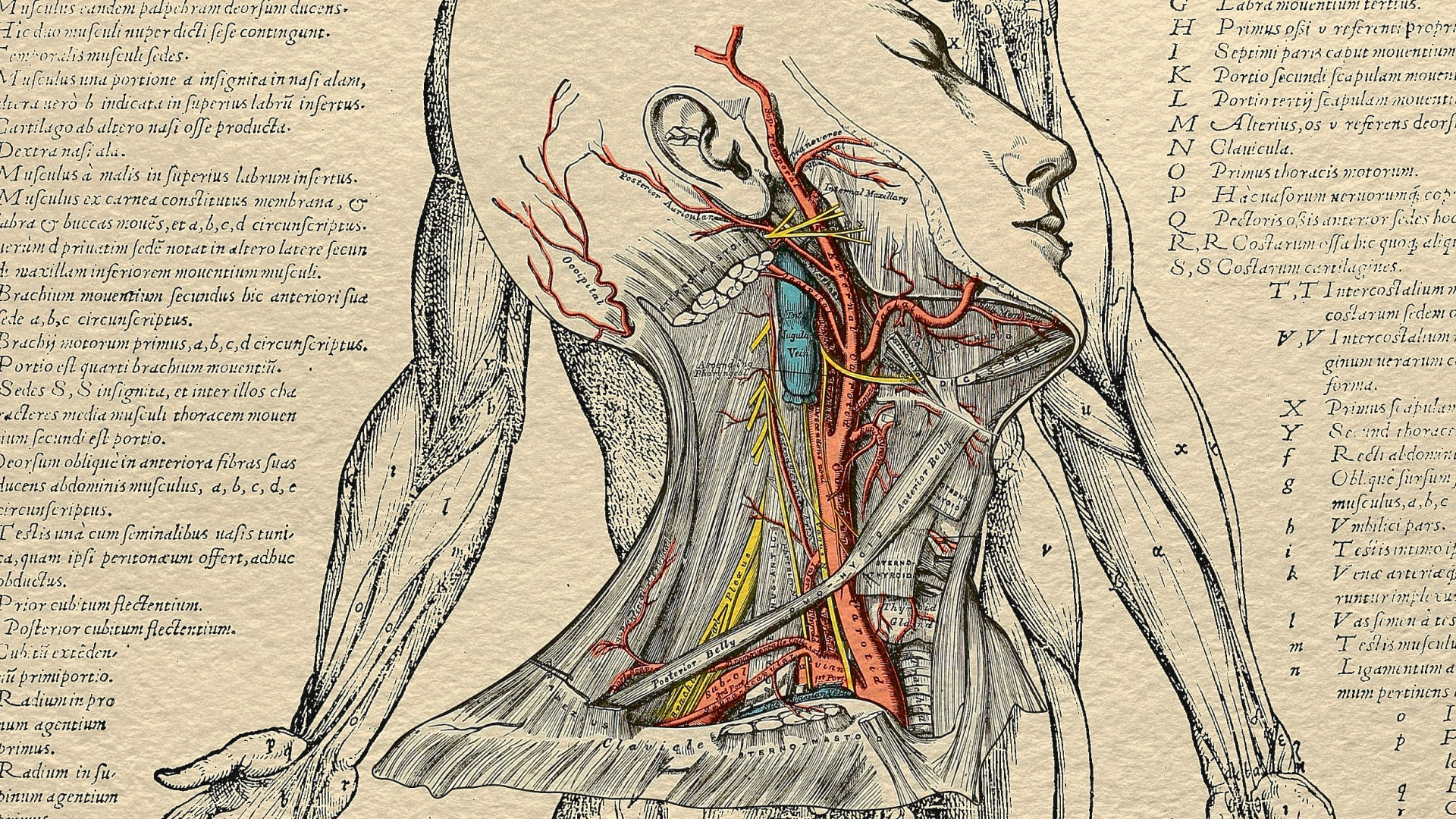 Illustrators Are The Hidden Heroes Of Medicine for Medical Hidden Picture