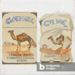 Image Of Camel Cigarette Packsabbott, Jennifer For Camel Cigarette Hidden Pictures