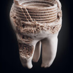 Impressive Print Ads With Hidden Messages | Ebc: Ewha [Brand In Hidden Pictures In Advertising