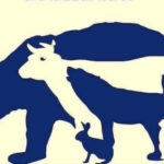 Interesting Stem On X: "A Classic Brain Teaser. How Many Animals Throughout Hidden Pictures Lots Of Llamas Answers
