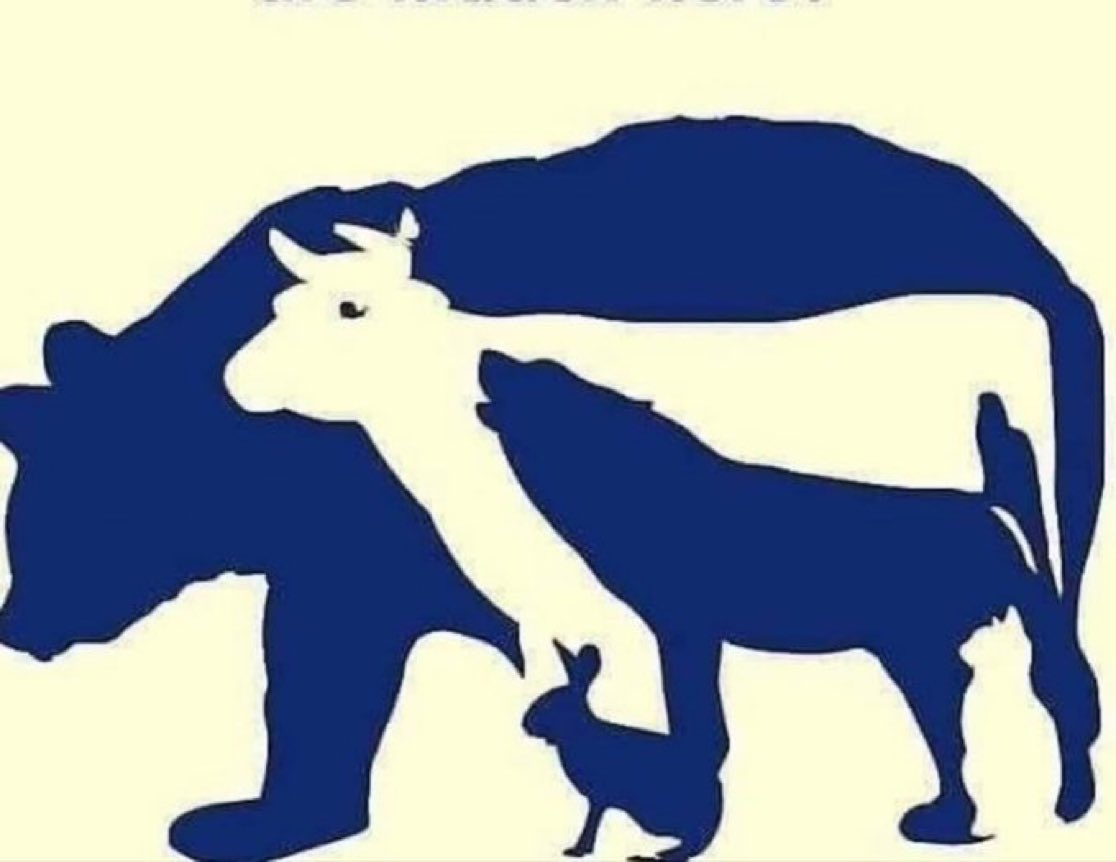 Interesting Stem On X: &amp;quot;A Classic Brain Teaser. How Many Animals throughout Hidden Pictures Lots of Llamas Answers
