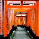 Japan Highlights And Hidden Places May 2026 | International Inside Highlights Hidden Pictures 2026
