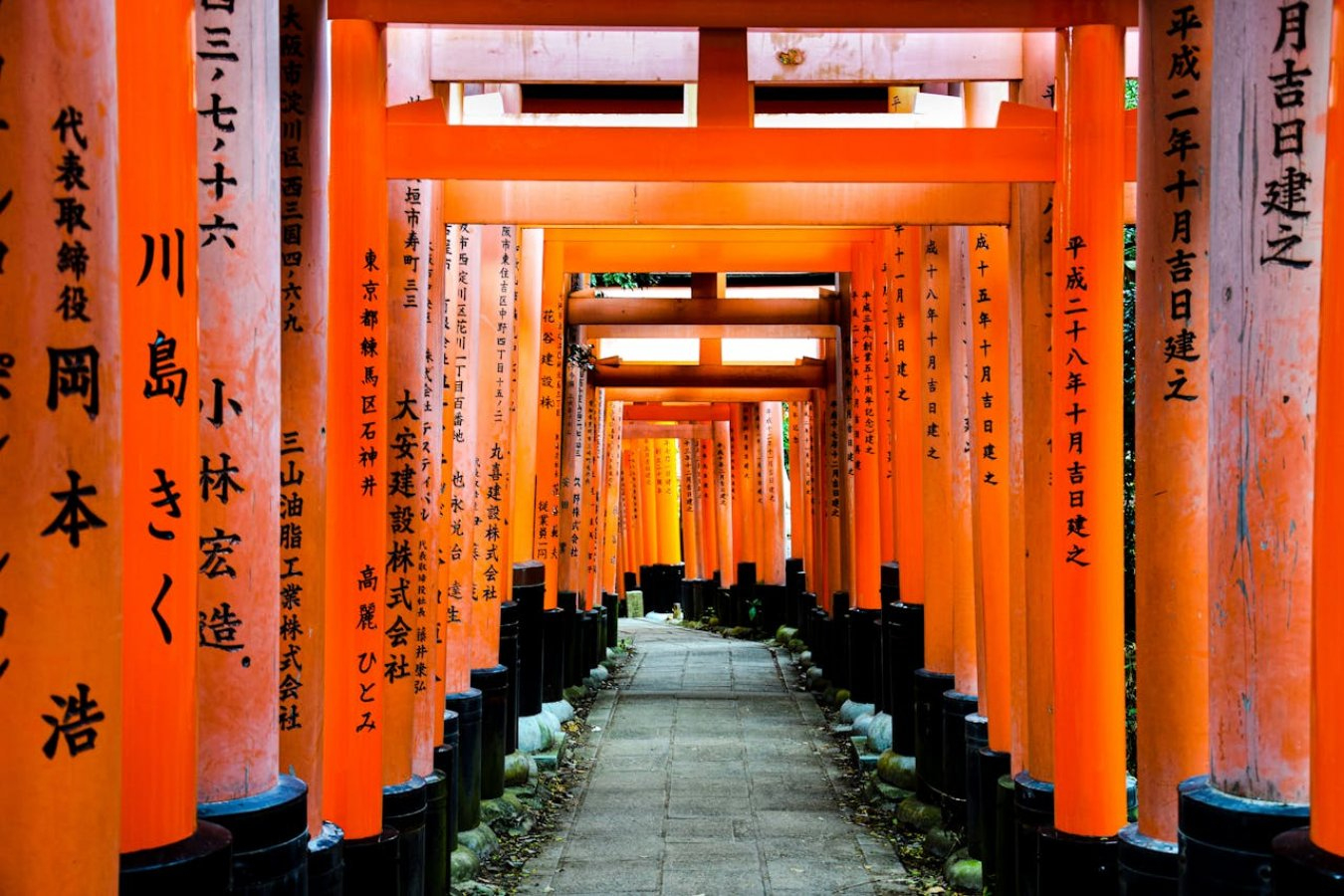 Japan Highlights And Hidden Places May 2026 | International inside Highlights Hidden Pictures 2026