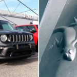 Jeep Easter Egg Animals: Jeep Owners Stunned Over Hidden Detail On Inside Hidden Pictures On Jeeps