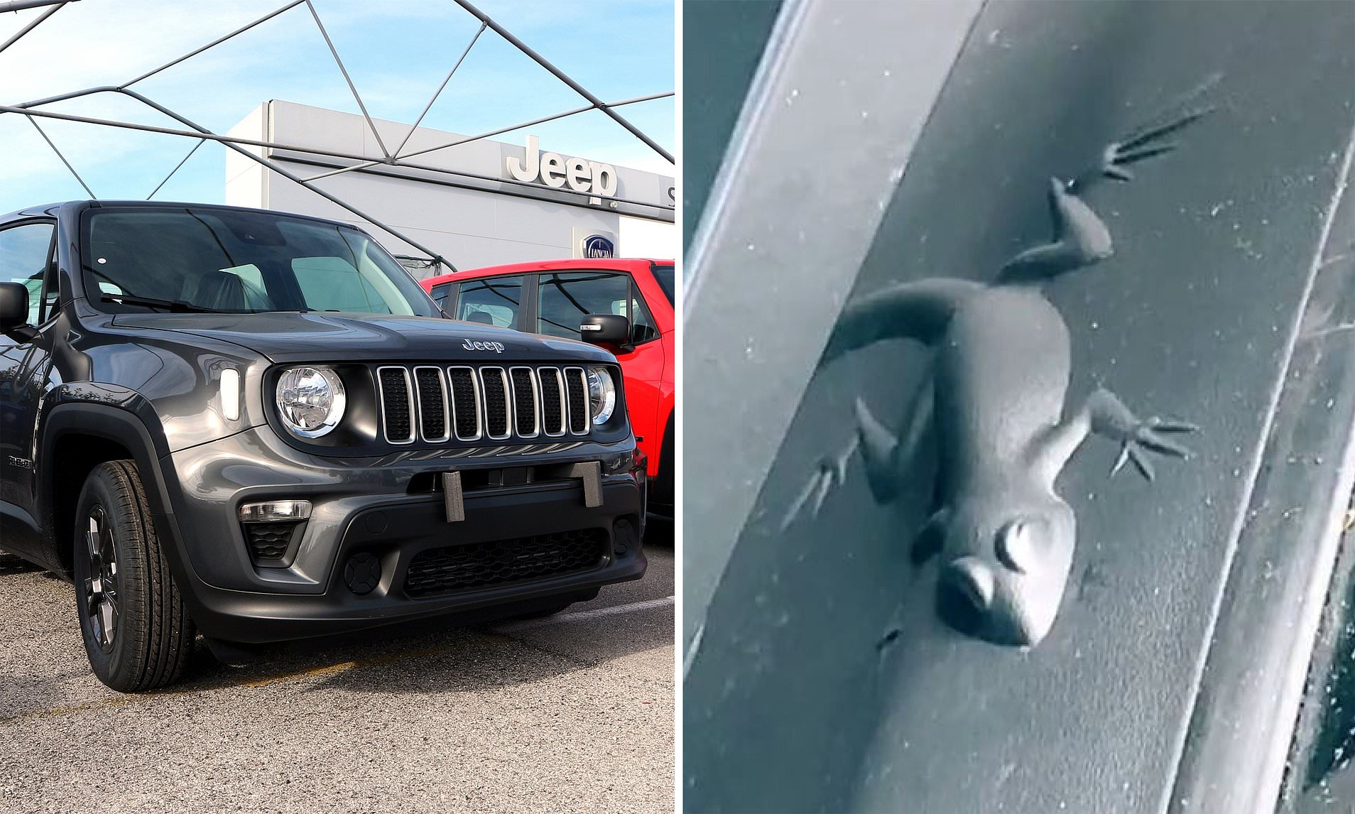 Jeep Easter Egg Animals: Jeep Owners Stunned Over Hidden Detail On inside Hidden Pictures On Jeeps