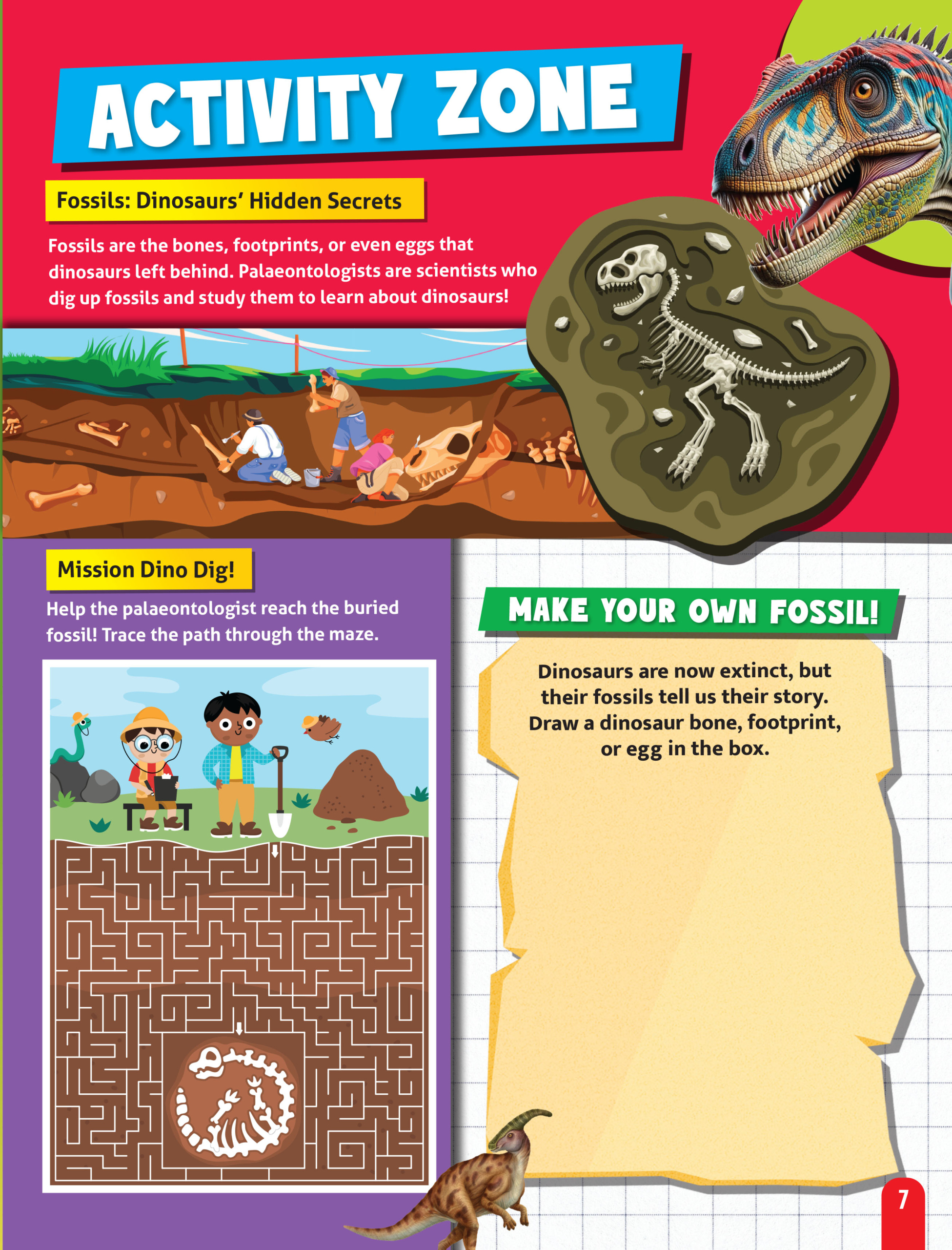 Junior Genius: Dino Discovery – A Fun-Filled Learning Book For within Hidden Pictures Discovery Activity Zone