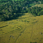 Laser Mapping Reveals Hidden Structures In Amazon—With Hints At In Amazon Photos Hidden Pictures