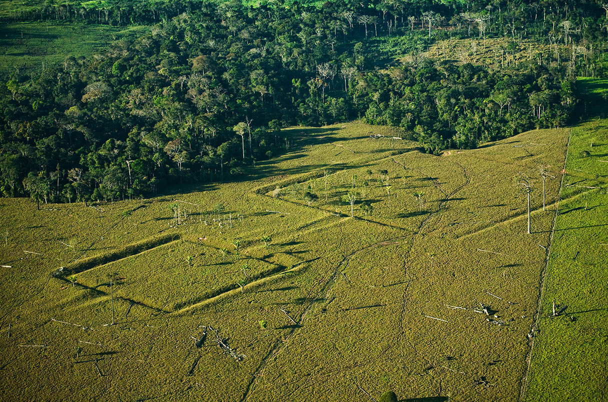 Laser Mapping Reveals Hidden Structures In Amazon—With Hints At in Amazon Photos Hidden Pictures