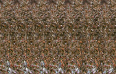 Magic Eye Knight3Dimka in 3D Hidden Pictures Easy