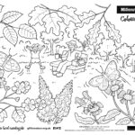 Millennium Wood Activities And Resources   Gift To Nature Throughout Printable A4 Hidden Pictures