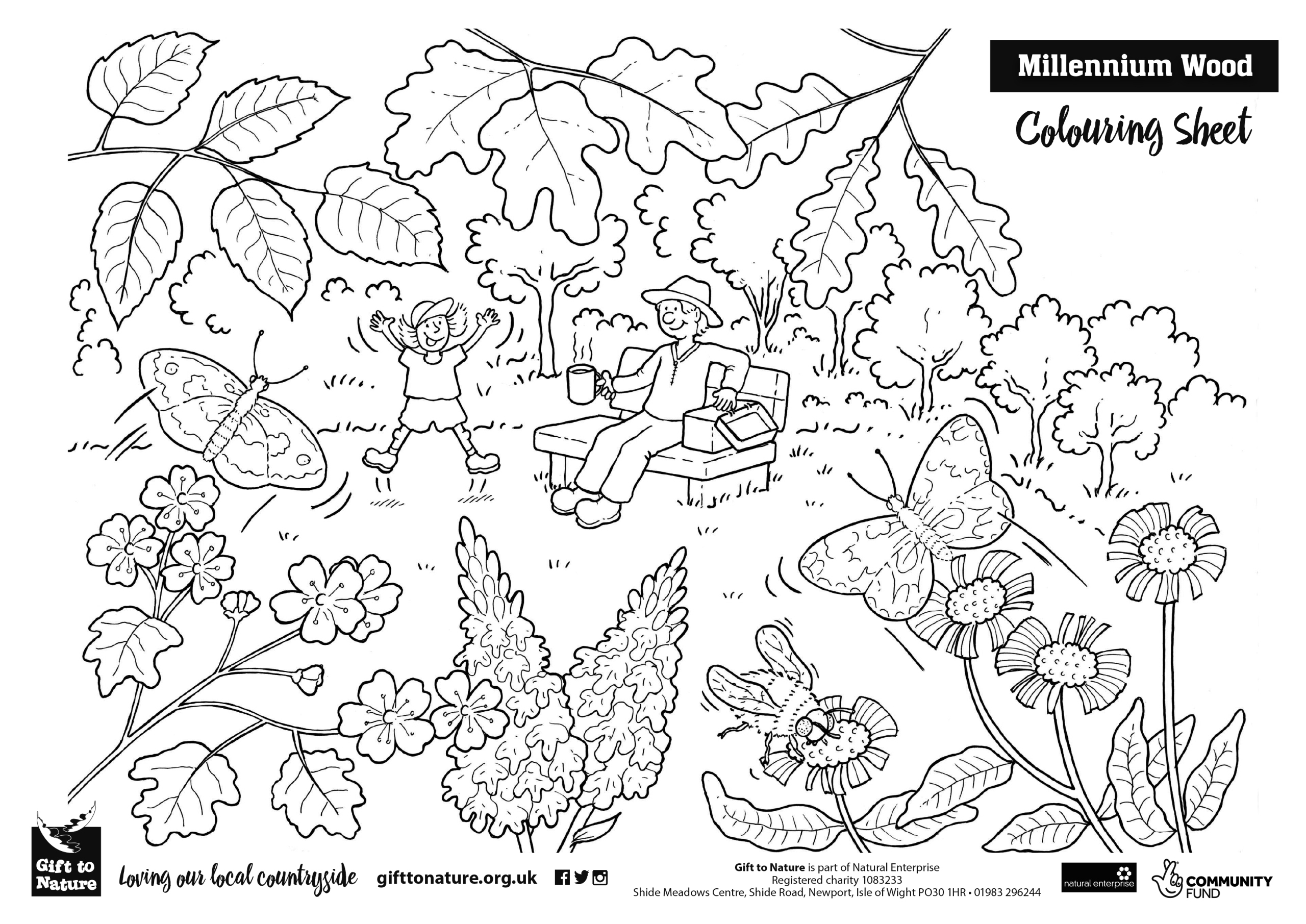 Millennium Wood Activities And Resources - Gift To Nature throughout Printable A4 Hidden Pictures