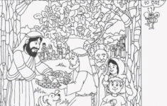 New Testament Hidden Pictures Coloring And Activity Book | The Catholic  Company regarding Free Bible Hidden Pictures
