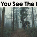 Nobody Can See All The Hidden Animals । Optical Illusions । Brain Teasers  [#2] Within Hidden Pictures In Pictures Illusions