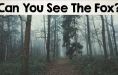 Nobody Can See All The Hidden Animals । Optical Illusions । Brain Teasers  [#2] within Hidden Pictures In Pictures Illusions