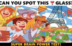 Only 1% Creatives Can Find The Hidden Object In The Picture Puzzle with Finding the Hidden Pictures