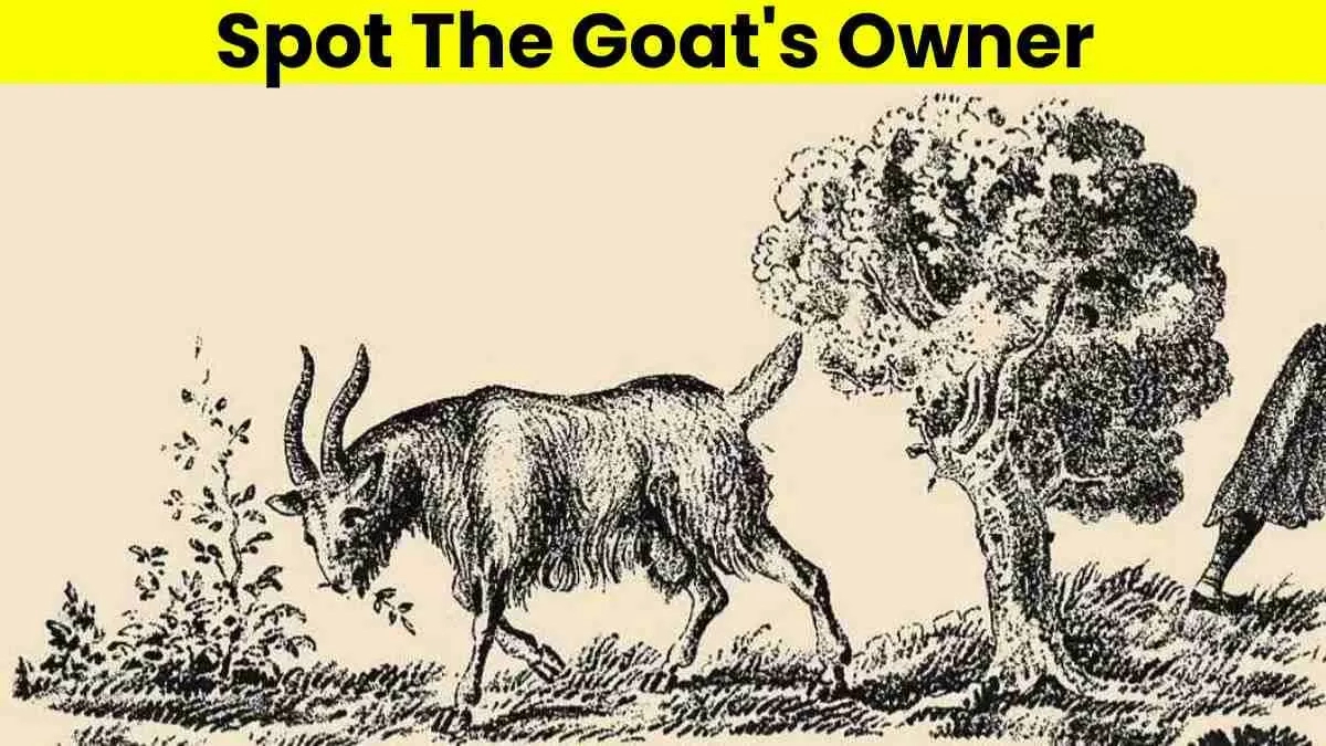Only 1% With Sharp Vision Spot The Goat&amp;#039;S Owner Hidden In This for Highlights Hidden Pictures Answers January 2026