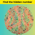Only Someone With X Ray Vision Can Find The Number Hidden Among Within Dot Pictures With Hidden Pictures