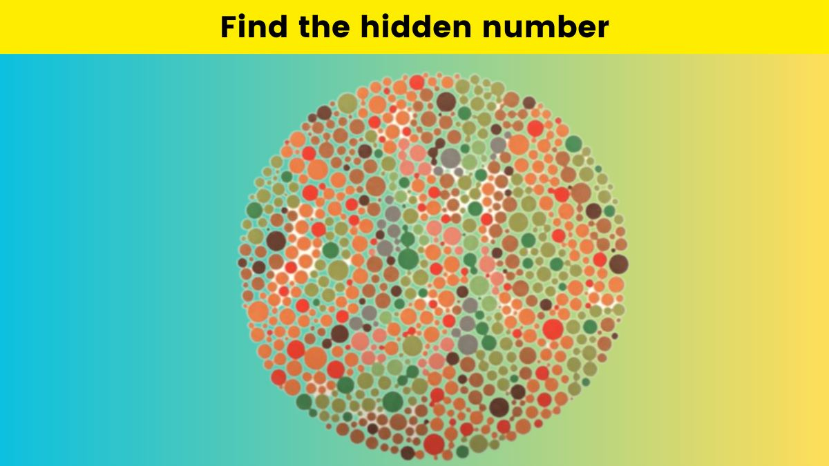 Only Someone With X-Ray Vision Can Find The Number Hidden Among within Dot Pictures with Hidden Pictures