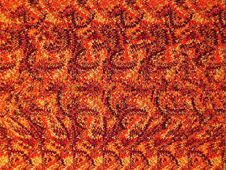 Hidden Pictures Optical Illusions and 3D Art