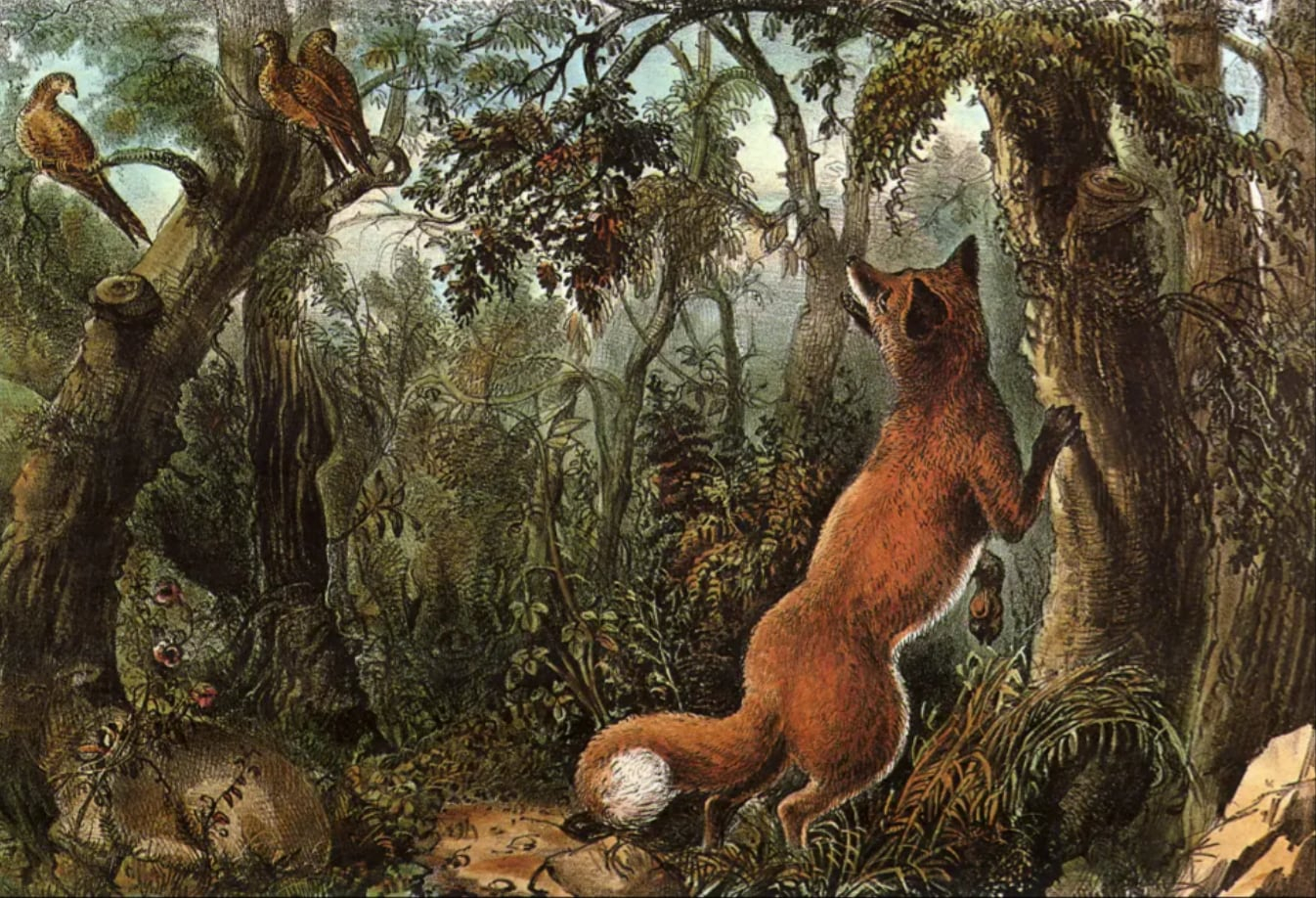 Optical Illusion Iq Test: Only 1% Can See All 16 Animals And Human regarding Pictures With Hidden Pictures In Them