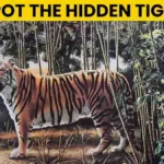 Optical Illusion Iq Test: Only 2% Visually Sharp Can Spot The With Regard To Pictures Hidden In Pictures