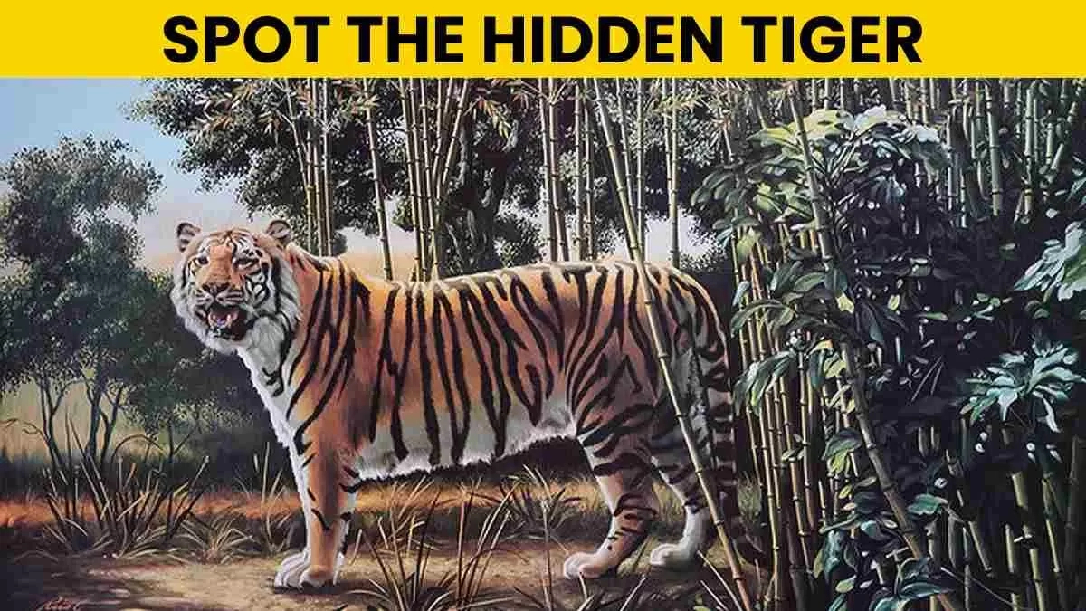 Optical Illusion Iq Test: Only 2% Visually Sharp Can Spot The within Images With Hidden Pictures