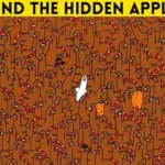 Optical Illusion Iq Test: Only Sharpest Eyes Can Spot The Hidden With Regard To Highlights Hidden Pictures Answers January 2026