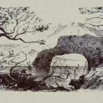 Optical Illusion: Only 10% Can Spot At Least 10 Hidden Animals In Inside Find Hidden Pictures Within Pictures