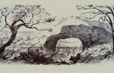 Optical Illusion: Only 10% Can Spot At Least 10 Hidden Animals In inside Find Hidden Pictures Within Pictures